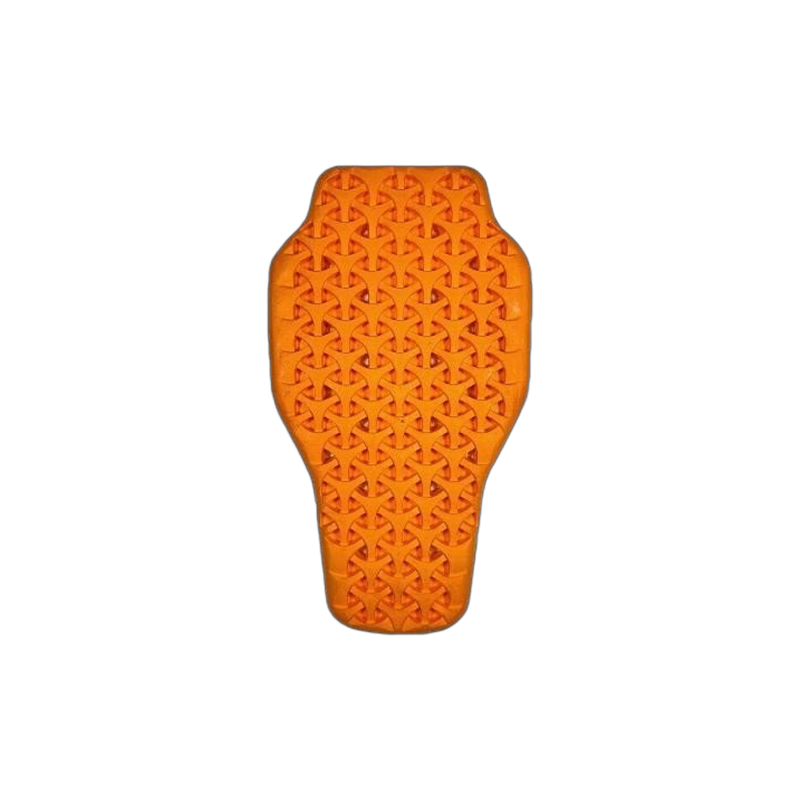 FB-02 L1 Back Protection